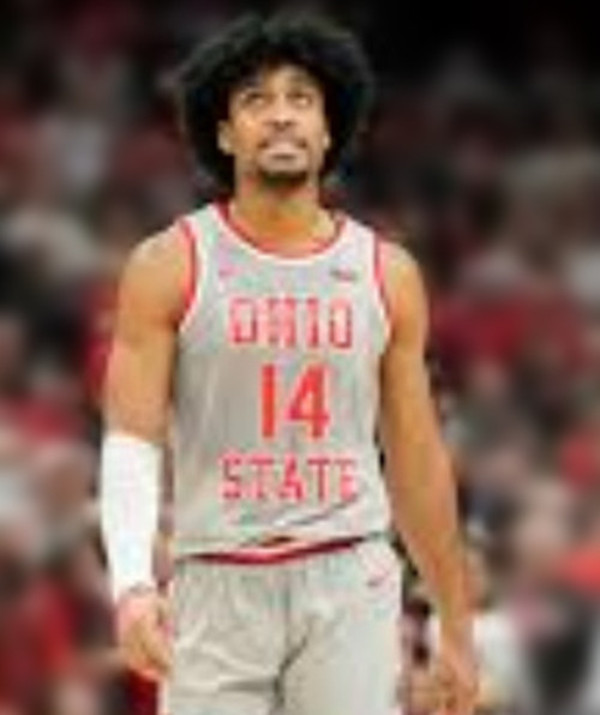 Ohio State Buckeyes #14 Brandon Noel Nike 2025 Gray Primary College Basketball Game Jersey