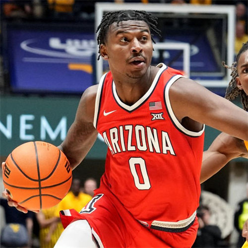 Mens Youth Arizona Wildcats #0 Jaden Bradley 2025 XII Red Basketball Game Jersey