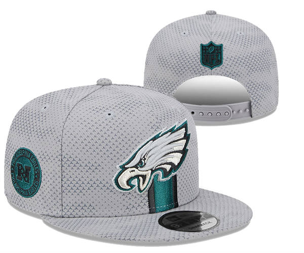 Philadelphia Eagles Gray Logo Snapback Hat YD317142