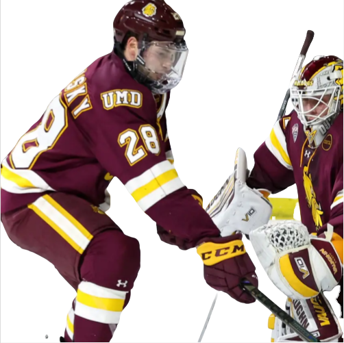 Mens Youth Minnesota Duluth Bulldogs #28 Aiden Dubinsky (A) 2024 Maroon Hockey Jersey