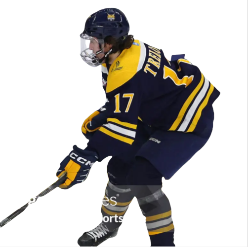 Mens Youth Quinnipiac Bobcats #17 Travis Treloar (C) 2024 Navy Hockey Jersey