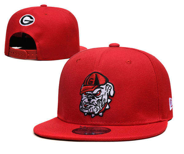 NCAA Georgia Bulldogs red  Alternate Logo Snapback Cap GS2503202 (2)
