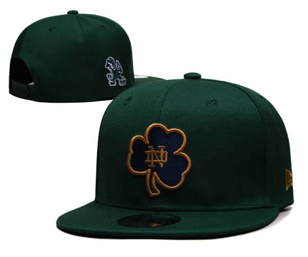 NCAA Notre Dame Fighting Irish Green Snapback Cap GS2503202 (2)