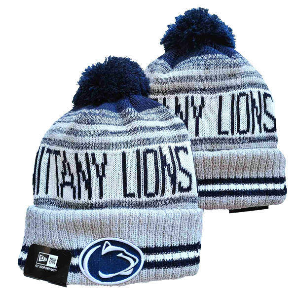 NCAA Penn State Nittany Lions Gray Navy Cuffed Pom Knit Hat YD2503191 (14)