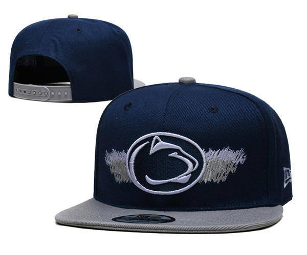 NCAA Penn State Nittany Lions Navy Gray Two-tone  Snapback Hat YD253192 (12)