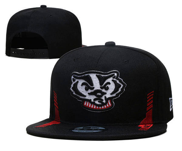 NCAA Wisconsin Badgers Black Snapback Hat YD253192 (8)