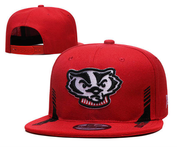 NCAA Wisconsin Badgers Red Snapback Hat YD253192 (7)