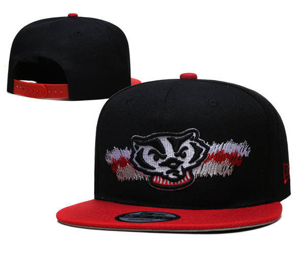 NCAA Wisconsin Badgers Black Red Two-tone Snapback Hat YD253192 (6)