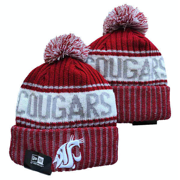 NCAA Washington State Cougars Crimson White Cuffed Pom Knit Hat YD2503191 (22)