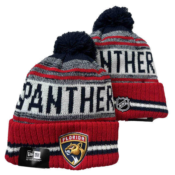 Florida Panthers Red White Gray Cuffed Pom Knit Hat YD2503211 (12)