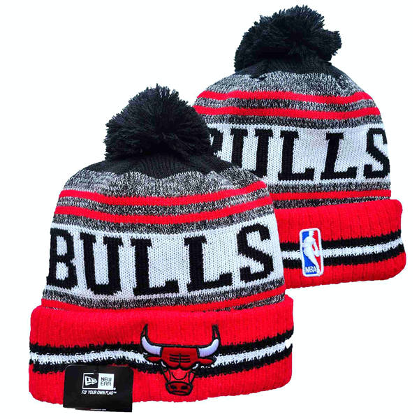 NBA Chicago Bulls gray red white black Cuffed Pom Knit Hat YD2503212 (17)