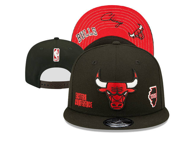 NBA Chicago Bulls Black red 1966 Anniversary Snapback Hat YD2503211  (3)