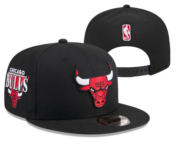 NBA Chicago Bulls black Primary Logo Snapback Hat YD2503211  (7)