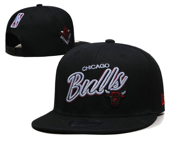 Chicago Bulls black white Embroidered Snapback Cap GS2503223 (1)