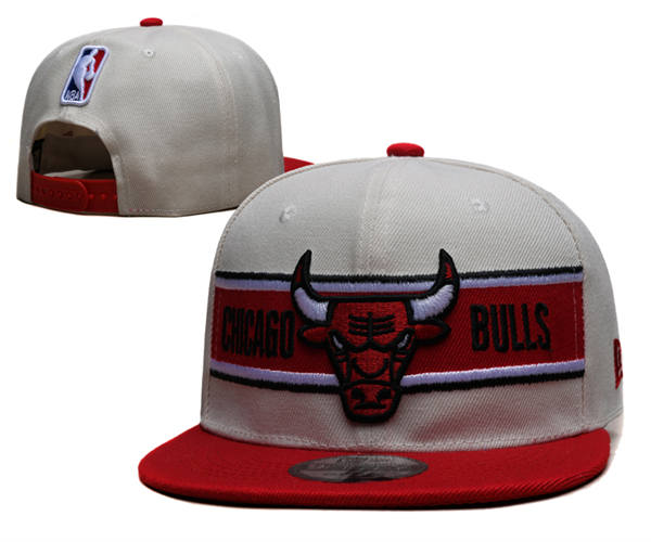 Chicago Bulls gray red Snapback Cap GS2503223 (7)