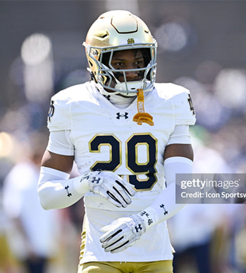 Mens Youth Notre Dame Fighting Irish #29 Christian Gray 2025 White College Football Game Jersey