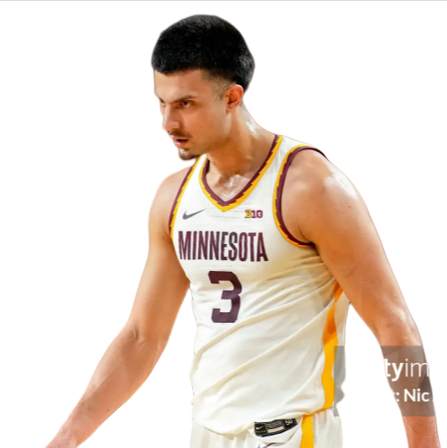 Men's Minnesota Golden Gophers #3 Dawson Garcia Nike White College Basketball Jersey