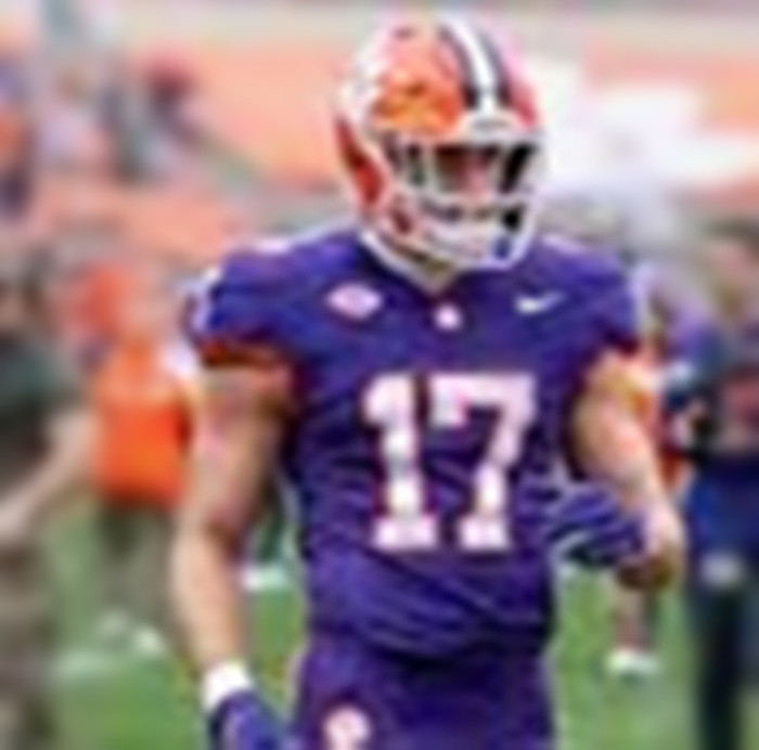 Mens Youth Clemson Tigers #17 Wade Woodaz Purple College Football Game Jersey