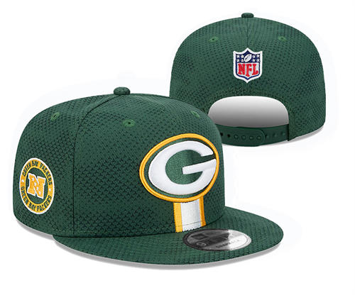 NFL Green Bay Packers green NFC Logo Snapback Hat YD2503211 (1)