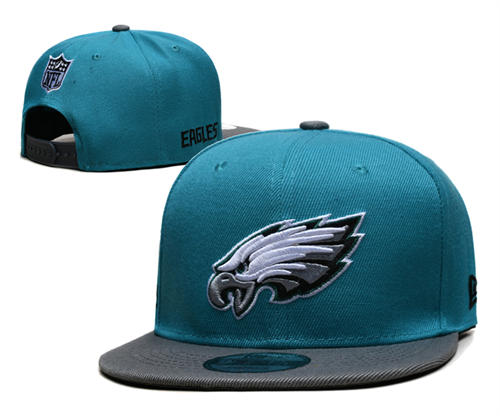 Philadelphia Eagles gray green Primary Logo Snapback Cap GS2504043 (13)
