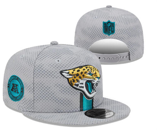 NFL Jacksonville Jaguars gray Sideline AFC Snapback Hat YD2503211 (1)
