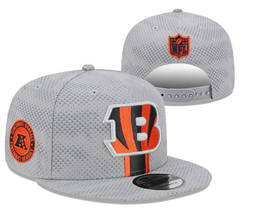 NFL Cincinnati Bengals gray Sideline  AFC Snapback Hat YD2503211 (10)