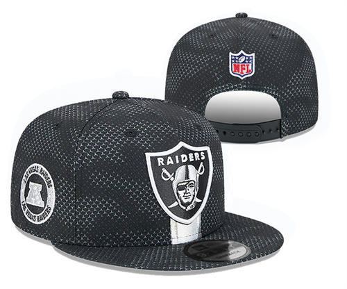 NFL Las Vegas Raiders Black sideline AFC Snapback Hat YD2503211 (24)