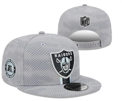 NFL Las Vegas Raiders gray sideline AFC Snapback Hat YD2503211 (9)