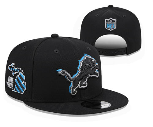 NFL Detroit Lions Black on black One Pride Snapback Hat YD2503211 (1)