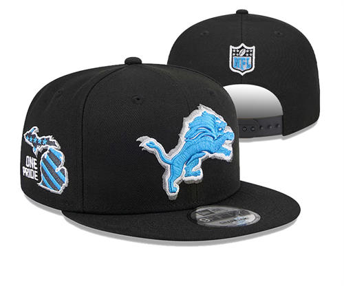 NFL Detroit Lions Black blue One PrideSnapback Hat YD2503211 (5)