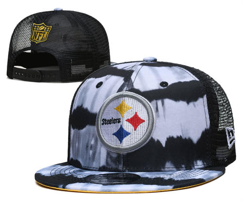 NFL Pittsburgh Steelers white colorful Snapback Hat YD2503211 (19)