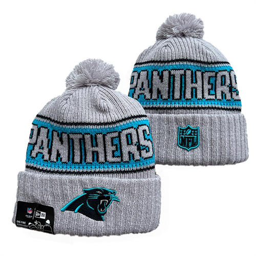 NFL Carolina Panthers Gray Blue Cuffed Pom Knit Hat YD2503212 (1)