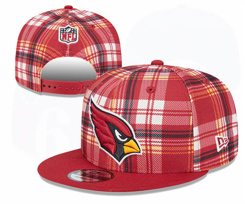 NFL Arizona Cardinals red grid Snapback Hat YD2503211 (2)