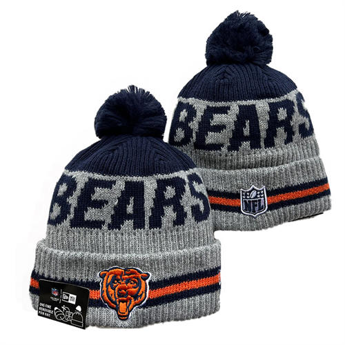 NFL Chicago Bears embroidered Gray Navy Cuffed Pom Knit Hat YD2503212 (6)