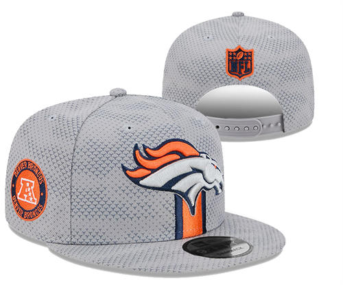 NFL Denver Broncos gray sideline NFC  Snapback Hat YD2503211 (5)