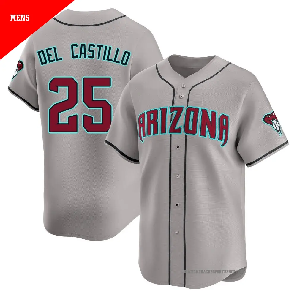 Mens Arizona Diamondbacks #25 Adrian Del Castillo Nike Gray Road Limited Jersey