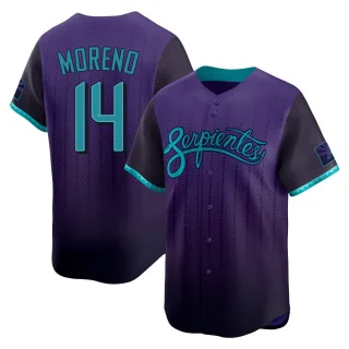 Mens Arizona Diamondbacks #14 Gabriel Moreno Nike Serpientes 2025 City Connect Limited Jersey Purple