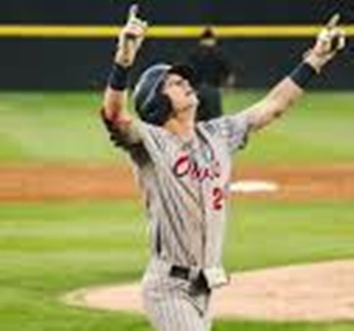 Florida Atlantic Owls #24 Marshall Lipsey Gray Red Pinstripe  College Baseball Game Jersey