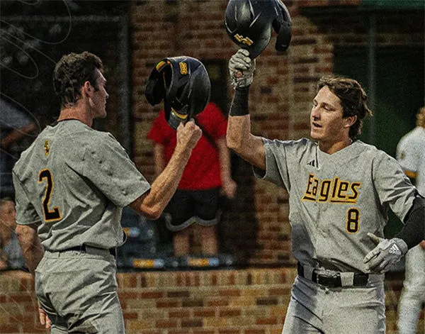 Southern Miss Golden Eagles Custom  Gray Baseball Game Jersey