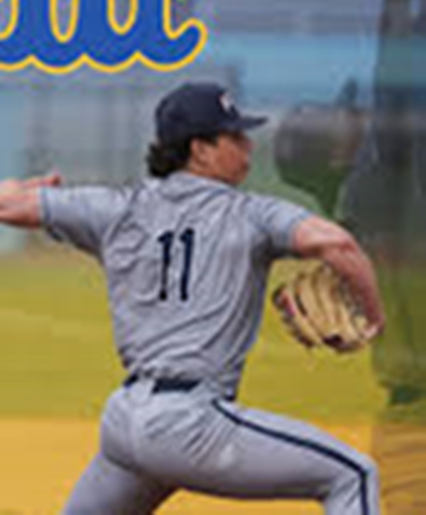 Pittsburgh Panthers #11 Pat Gardner Gray College Baseball Game Jersey