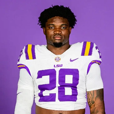 LSU Tigers #28 Kaleb Jackson white F.U.S.E. Limited College Football Game Jersey
