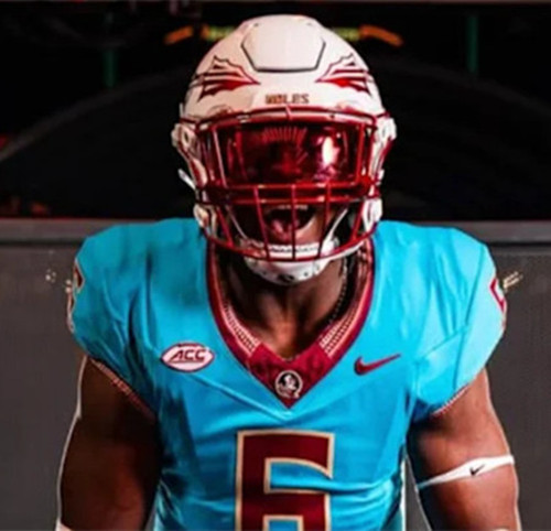 Florida State Seminoles #6 Darrell Jackson Jr. Nike 2025 Gamet Football Game Jersey