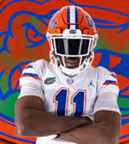 Florida Gators #11 LJ McCray White 2025 Football Game Jersey